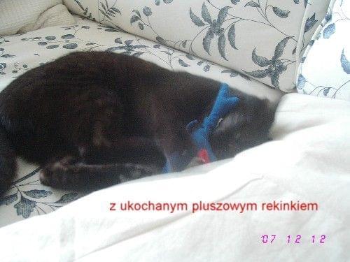 Obrazek