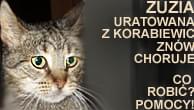 Obrazek