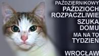 Obrazek