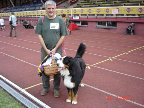 Obrazek