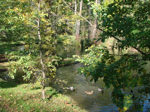 Pażdziernik 2007