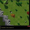 #tibia