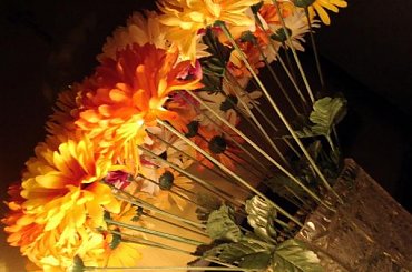 Chryzantemy #kwiaty #chryzantemy