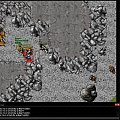 #tibia