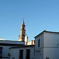 Carmona
