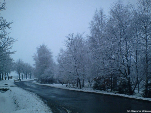 #droga #Lubomierz #drzewa #snieg #zima