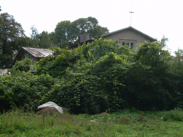 SZULMIERZ 2007 WRZESIEŃ