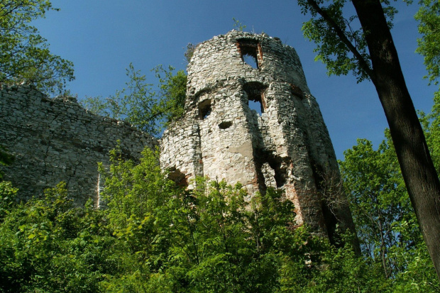 Zamek Tęczyn w Rudnie