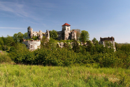 Zamek Tęczyn w Rudnie