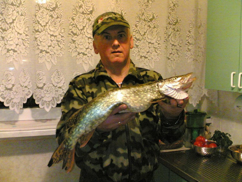 Szczupak z rzeki Bobr listopad 2007 #ryby