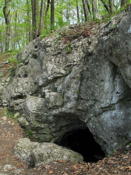 Jaskinia w Zielonej Górze #jaskinie