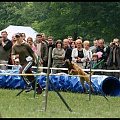 Pokaz Agility - Olsztyn 2007 Wystawa Psów