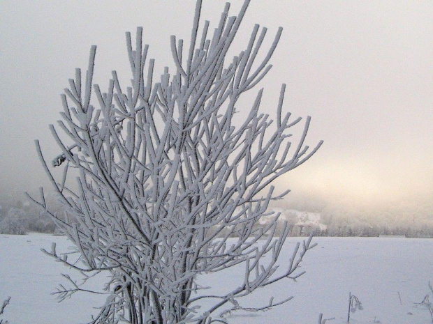 Zdjęcia Bieszczad zimą. Grudzień 2007 #GóryZimaŚnieg