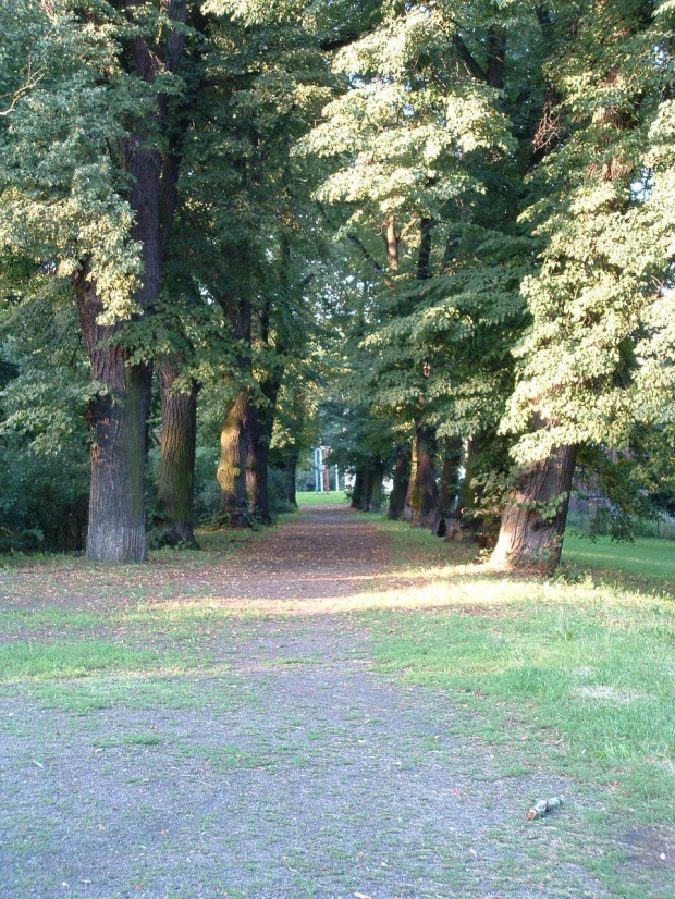 Park Żeromskiego