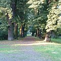 Park Żeromskiego