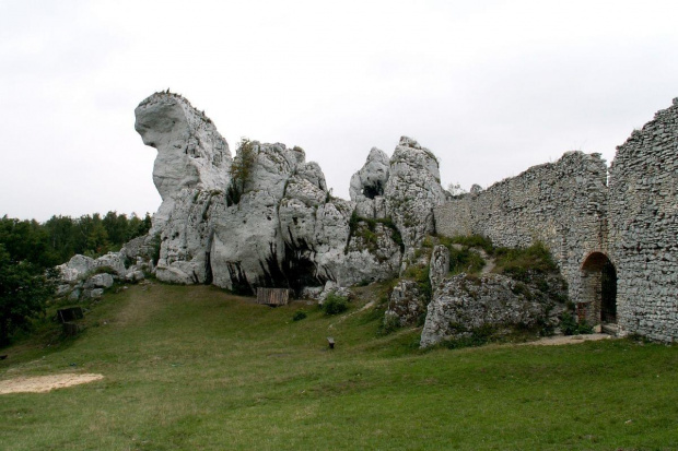 Zamek Ogrodzieniec