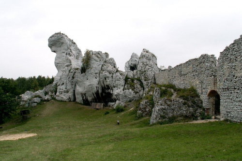 Zamek Ogrodzieniec