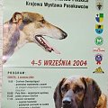 plakat wystawa