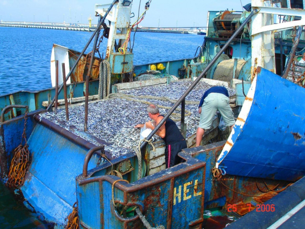 port rybacki w Helu