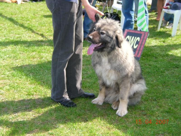 Częstochowa 2007