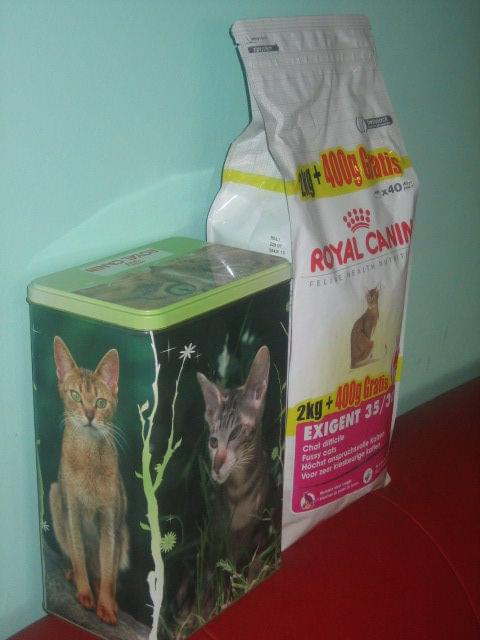 Karma Royal Canin Cat