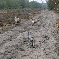 13 stycznia 2008