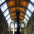 Natural History Museum