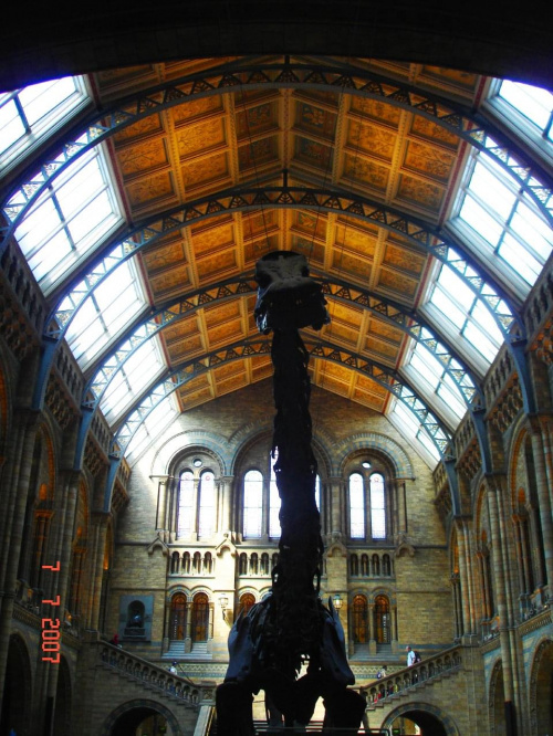 Natural History Museum