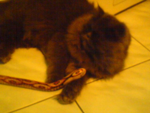 Ja i mój wąż.!