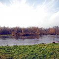 rz.Narew