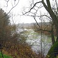 rz.Narew