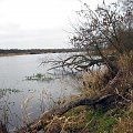 rz.Narew