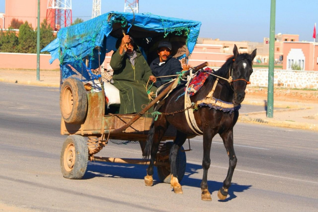 w drodze do Essaouiry #Essaouira #Maroko