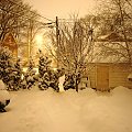 " Noc w Basniowym Ogrodzie "
1 lutego 2008 #zima #noc #ogrod #Toronto #Kanada #Canada