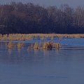 Szopienice... albo jeszcze Sosnowiec. Stawiki