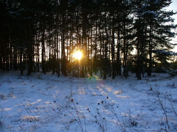 ŚWIĘTA W oLKUSZU