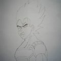 vegeta