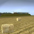 Celestynów-Żabki #TRS2004KolejSymulator