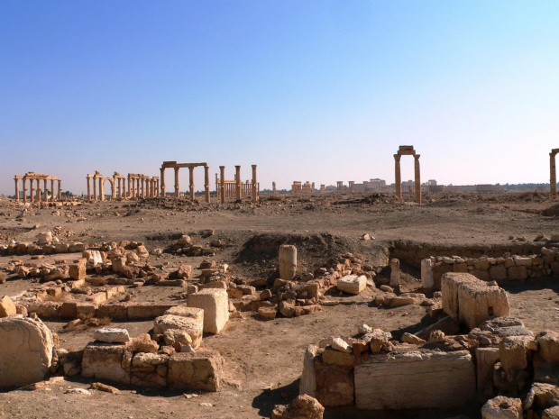 Palmyra