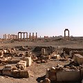 Palmyra