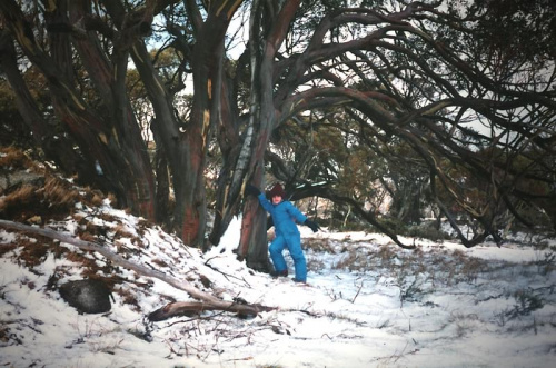 Córcia pod eukaliptusem, w Parku Kościuszki, koniec osiemdziesiątych #ParkKościuszki #Australia #śnieg #drzewo #eukaliptus