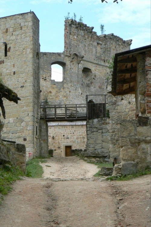 Zamek w Odrzykoniu - wejście