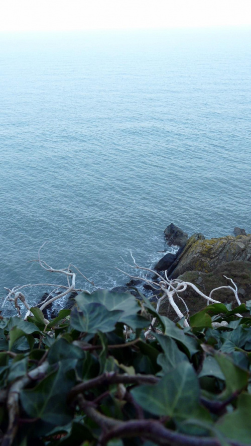 #krajobraz #panorama #morze #Irlandia #gory #klify