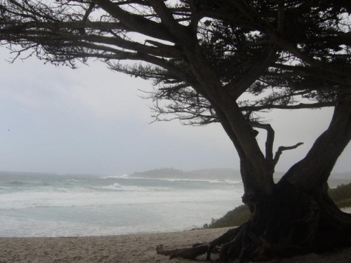 Carmel Beach #plaża #krajobrac #Kalifornia #ocean #Pacyfik