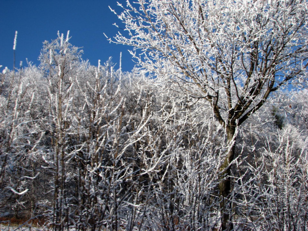 zima w górach #przyroda #natura #karkonosze #zima #drzewa #góry #niebo #krajobraz