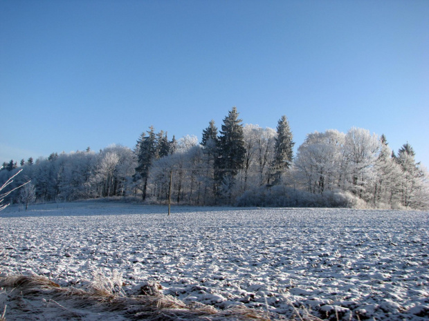 zima w górach #przyroda #natura #karkonosze #zima #drzewa #góry #niebo #krajobraz