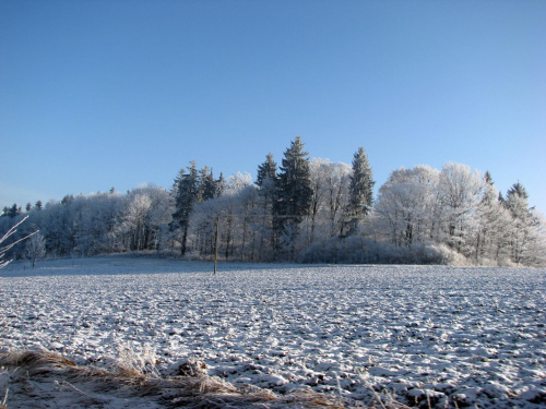 zima w górach #przyroda #natura #karkonosze #zima #drzewa #góry #niebo #krajobraz