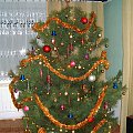 choinka świąteczna bożonarodzeniowa 2007/2008. #święta #BożeNarodzenie #sylwester #drzewko #choinka