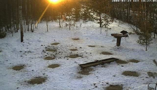 Pięknie......