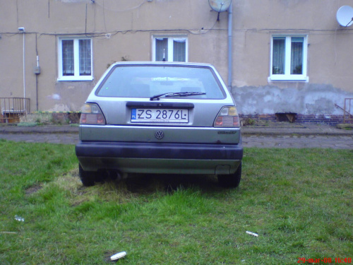 z tyłu